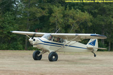 bush plane