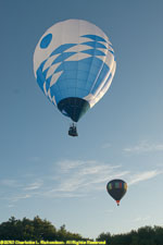 two balloons over the trees